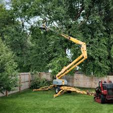 Best Utility Line Clearance  in Justice, OK