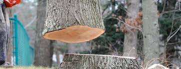 Justice, OK Tree Services Company