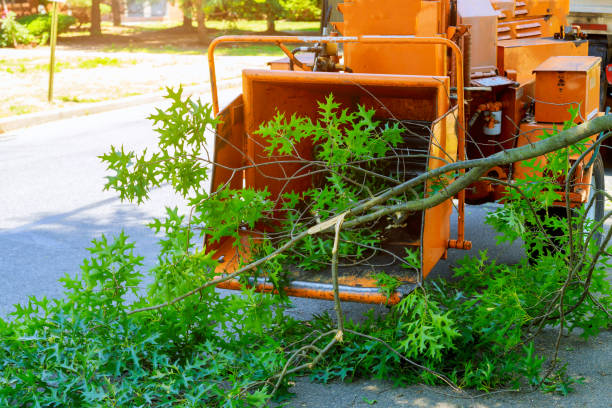 Best Weed Control  in Justice, OK