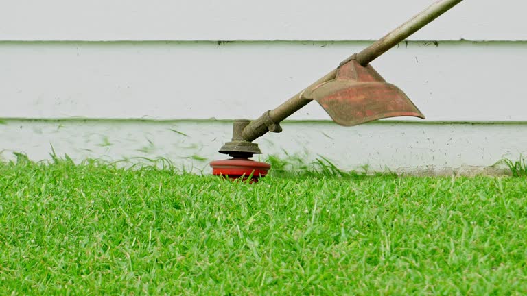 Best Tree Preservation Services  in Justice, OK